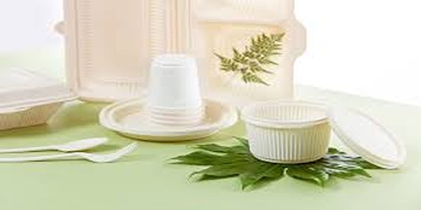 تصویر 4 از خرید و قیمت بشقاب گیاهی یکبار مصرف + فروش عمده